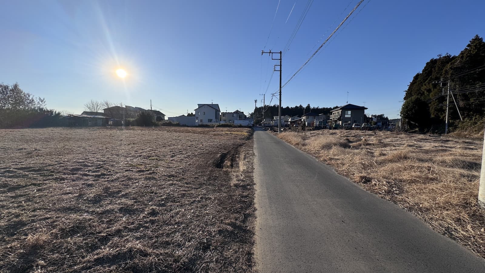 現地写真