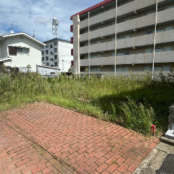 白梅三丁目　売地
