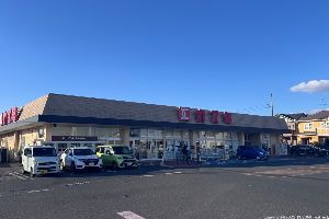 スーパーカスミ