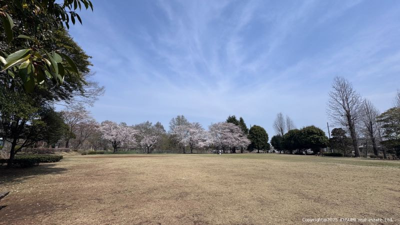 ツルハドラッグ水戸元吉田店