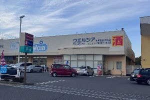 ドラッグストア