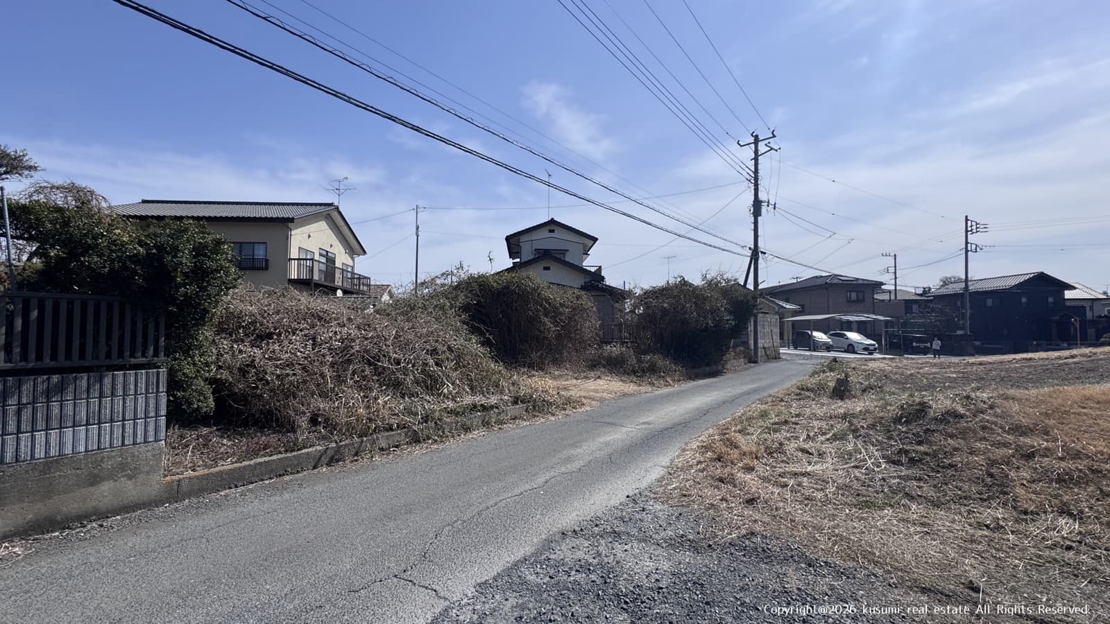 南西側から撮影