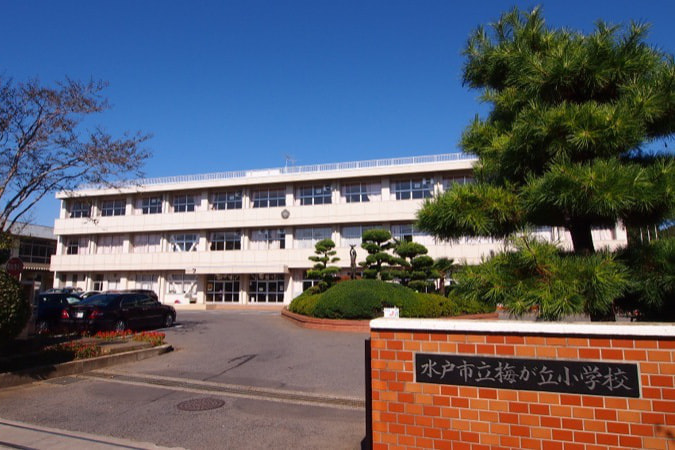 梅が丘小学校